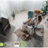 Wood burning stoves