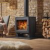 Wood burning stoves